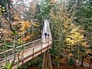 Holzsteg in luftiger Höhe