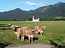 Khe vor der Kirche St. Coloman