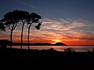 Sonnenuntergang in Calvi